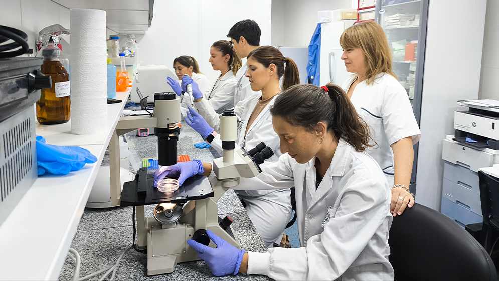 CONICET team develops nasal vaccine against Chagas disease